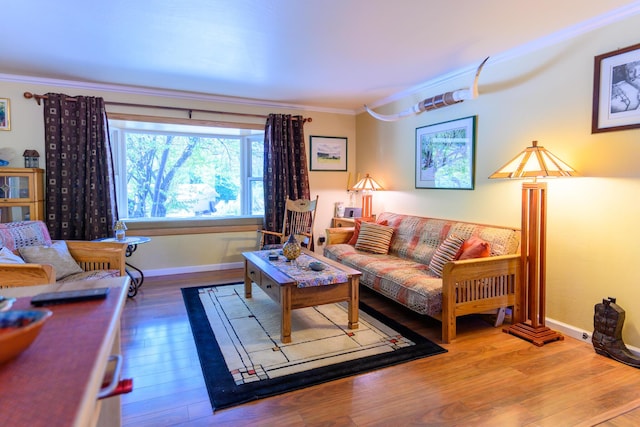 living room featuring crown molding and hardwood / wood-style floors