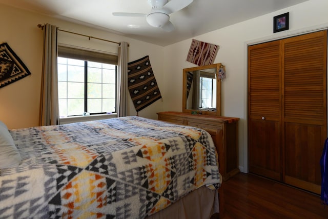 bedroom with multiple windows, dark wood-type flooring, ceiling fan, and a closet