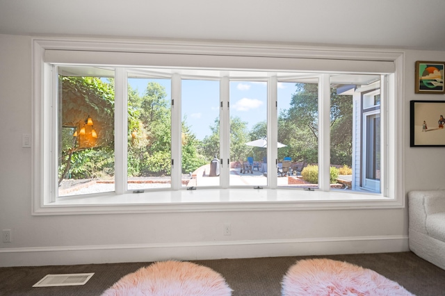 doorway with a wealth of natural light