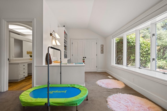 game room with vaulted ceiling