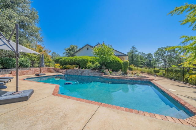 view of pool featuring a patio