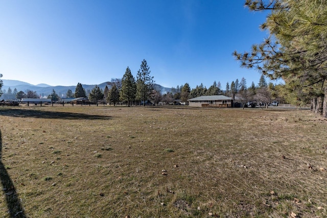 view of yard with a mountain view and a rural view