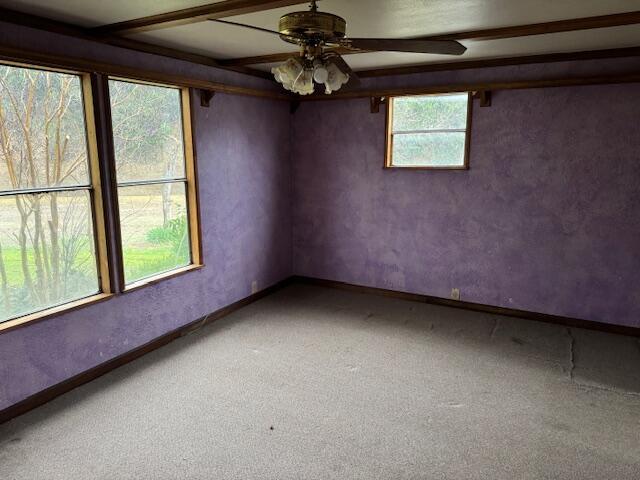 spare room with ceiling fan, carpet flooring, and beam ceiling