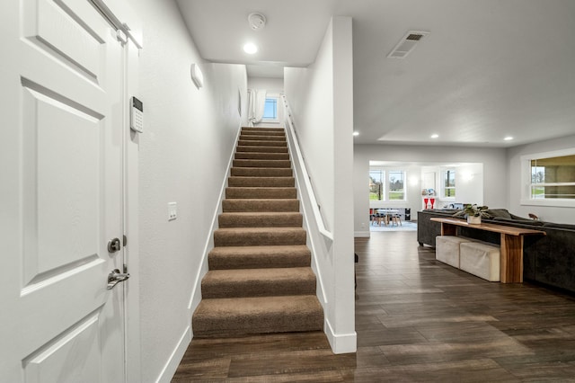 stairs with hardwood / wood-style floors