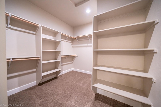 walk in closet featuring carpet