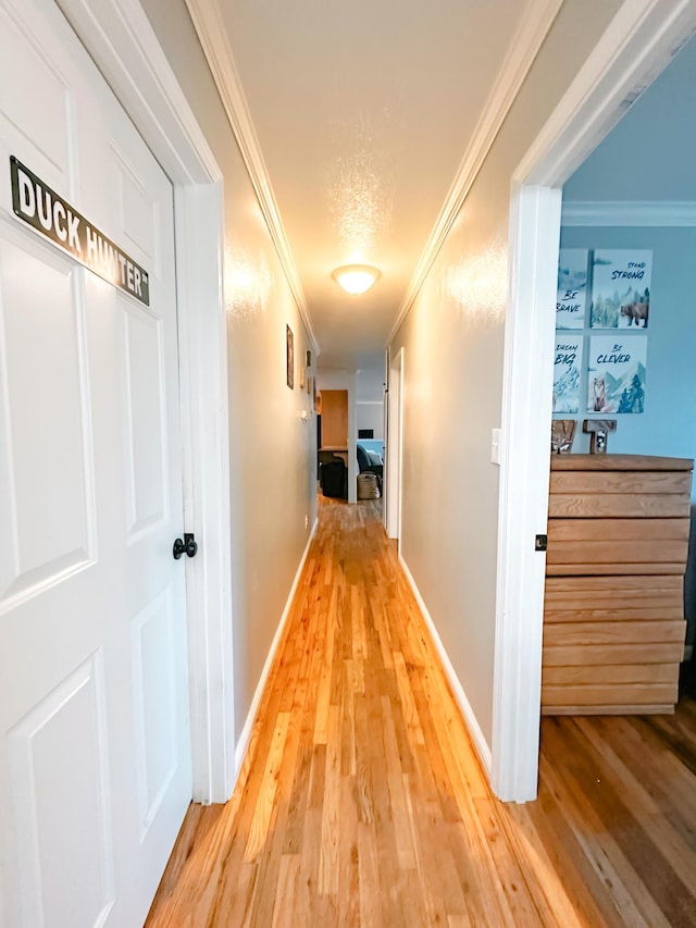 hall featuring crown molding and light hardwood / wood-style floors