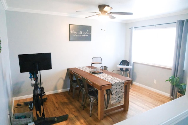 office space with wood-type flooring, ceiling fan, and crown molding