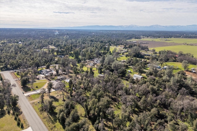 birds eye view of property featuring a mountain view