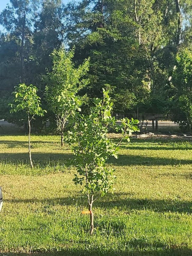 view of yard with a rural view