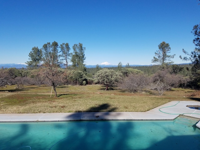 view of swimming pool featuring a yard