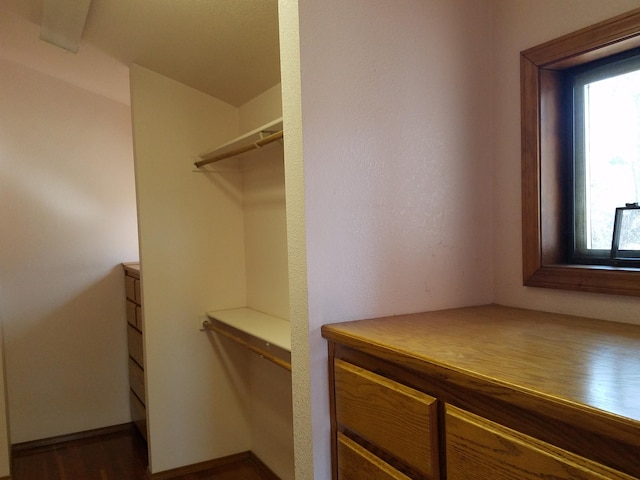 spacious closet with dark wood-type flooring