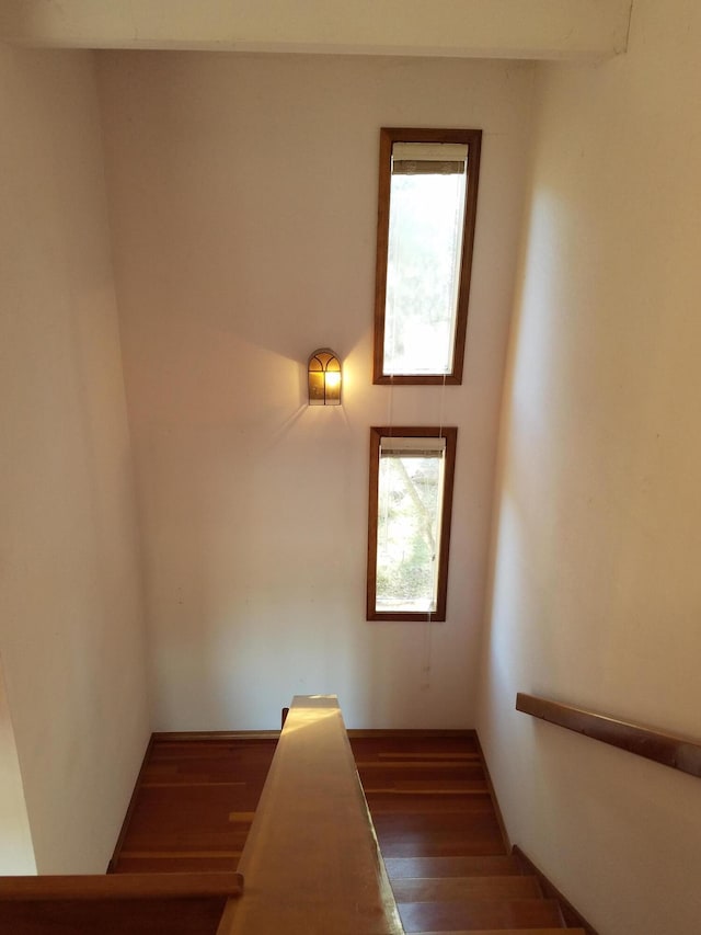 staircase featuring wood-type flooring