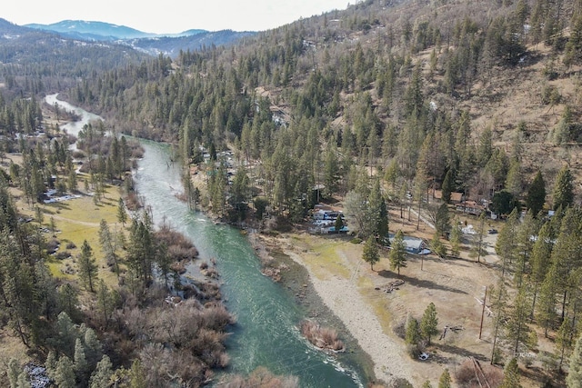 birds eye view of property featuring a mountain view and a forest view