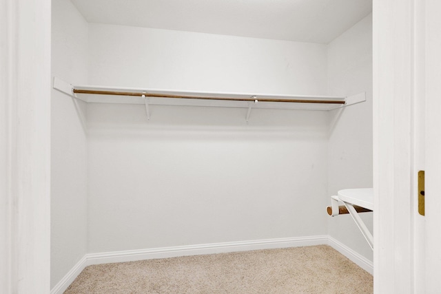 walk in closet with carpet floors