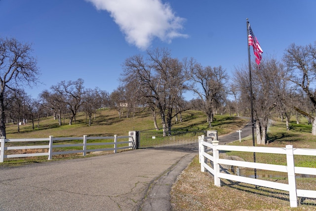 view of street featuring driveway, a gate, a gated entry, and a rural view