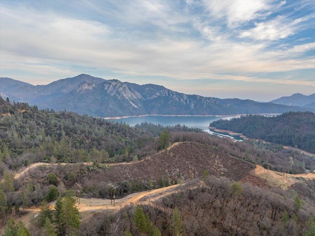 property view of mountains with a view of trees and a water view