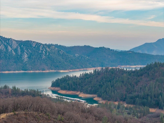 view of mountain feature featuring a view of trees and a water view