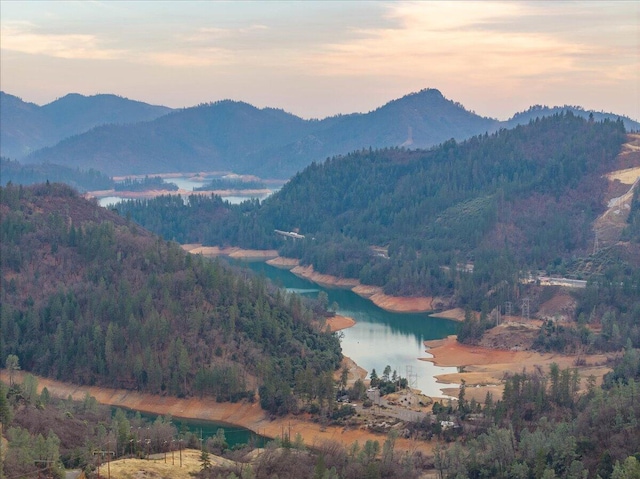 view of mountain feature with a view of trees and a water view