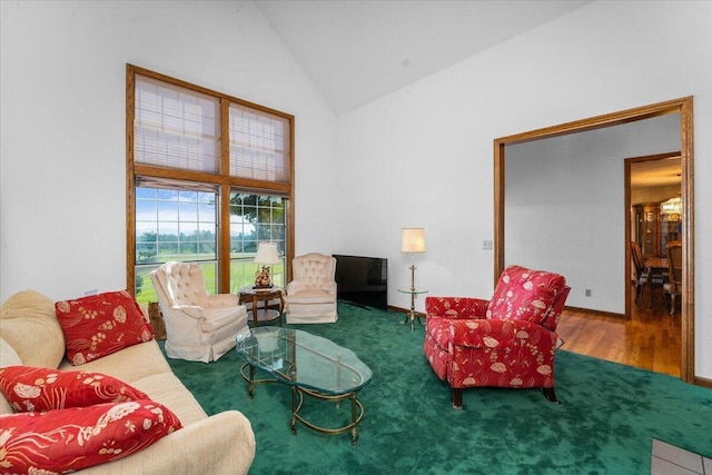 living room with wood-type flooring and high vaulted ceiling