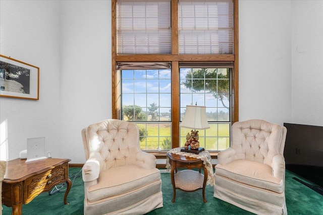 living area featuring carpet floors