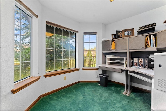 carpeted home office featuring a healthy amount of sunlight