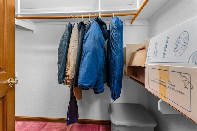 walk in closet featuring carpet