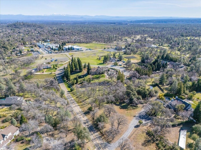 bird's eye view