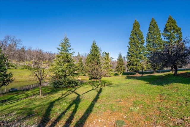 8826 Heritage Ct, Redding, CA 96001 - photo 74