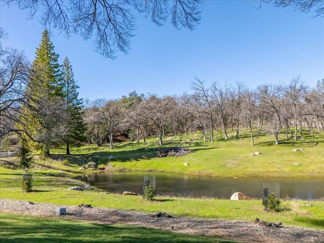 view of community featuring a water view