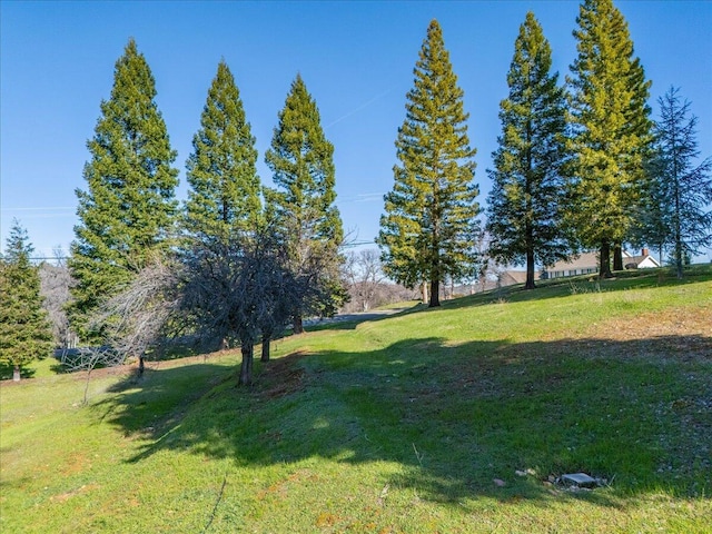 8826 Heritage Ct, Redding, CA 96001 - photo 97