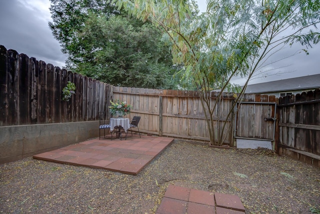 view of yard with a patio area