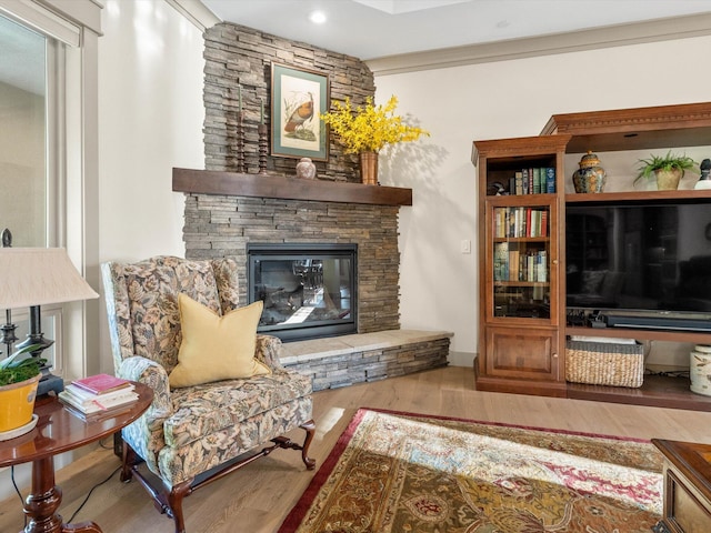 living room with a fireplace and wood-type flooring