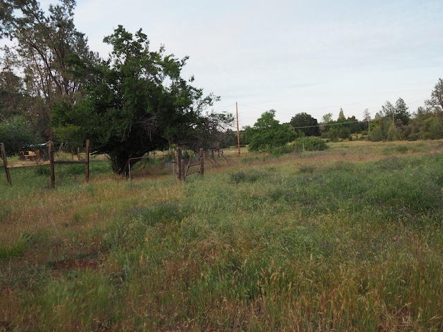 21705 S Powerhouse Rd, Manton, CA 96059 - view of undeveloped land with rural landscape