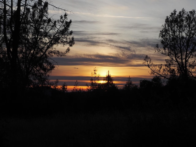 21705 S Powerhouse Rd, Manton, CA 96059 - view of local wilderness