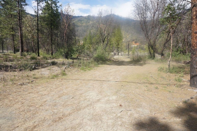 1600 Lake Rd, Junction City CA, 96048 land for sale