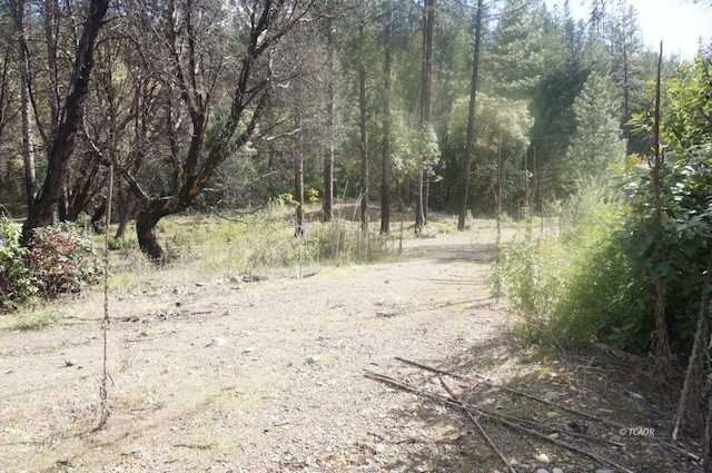 Listing photo 3 for 1600 Lake Rd, Junction City CA 96048