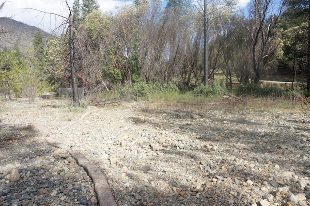1600 Lake Rd, Junction City, CA 96048