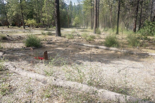 1600 Lake Rd, Junction City, CA 96048