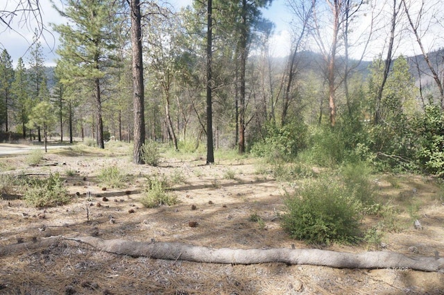 1600 Lake Rd, Junction City, CA 96048