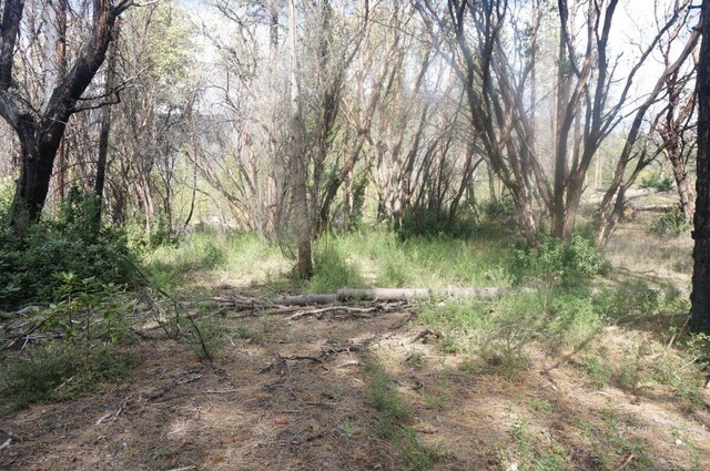 1600 Lake Rd, Junction City, CA 96048