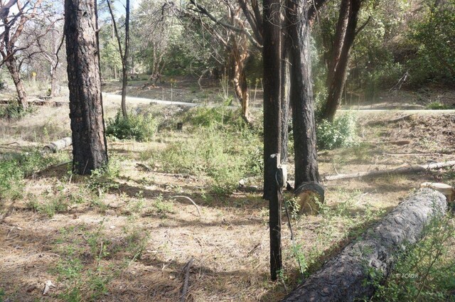 1600 Lake Rd, Junction City, CA 96048
