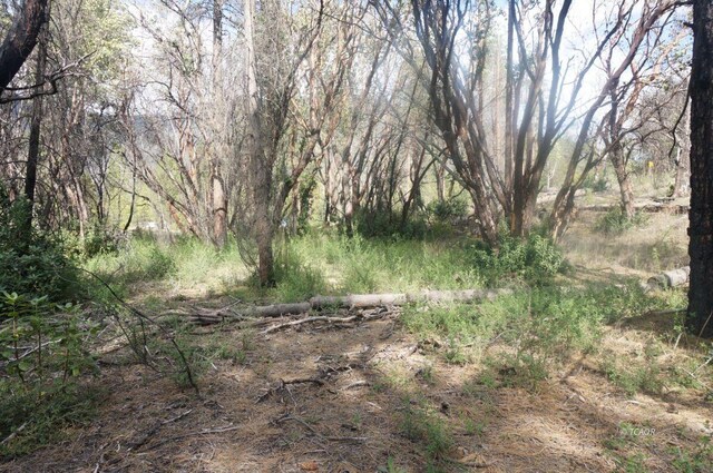 1600 Lake Rd, Junction City, CA 96048