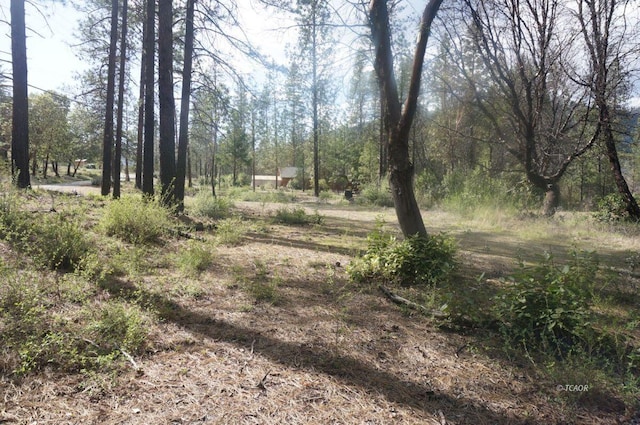 1600 Lake Rd, Junction City, CA 96048