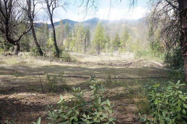 1600 Lake Rd, Junction City, CA 96048