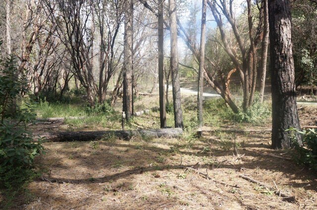 1600 Lake Rd, Junction City, CA 96048