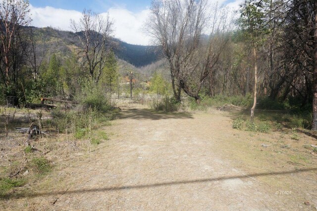 1600 Lake Rd, Junction City, CA 96048