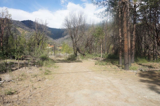 1600 Lake Rd, Junction City, CA 96048