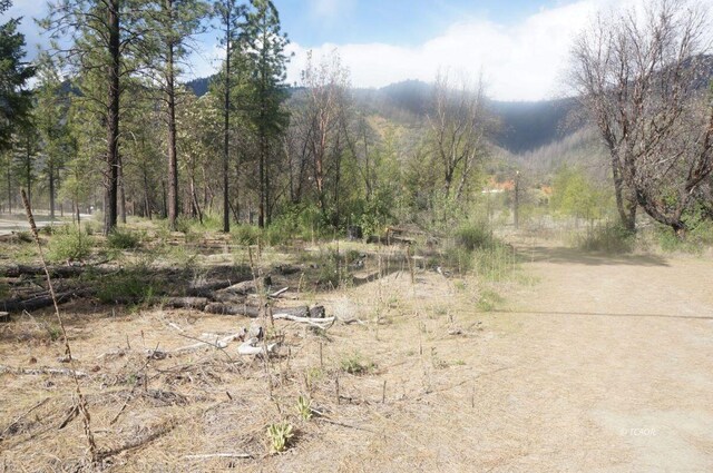 1600 Lake Rd, Junction City, CA 96048