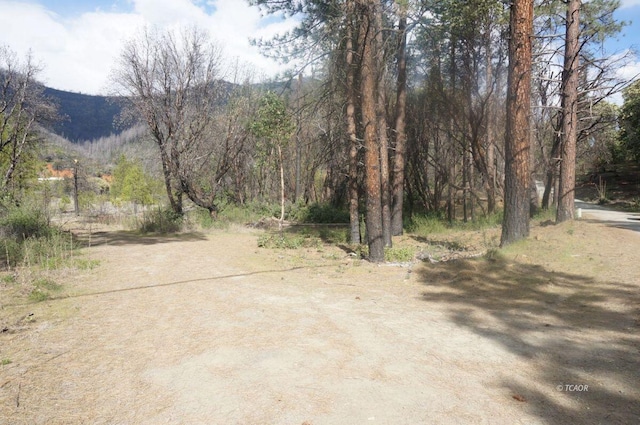 1600 Lake Rd, Junction City, CA 96048