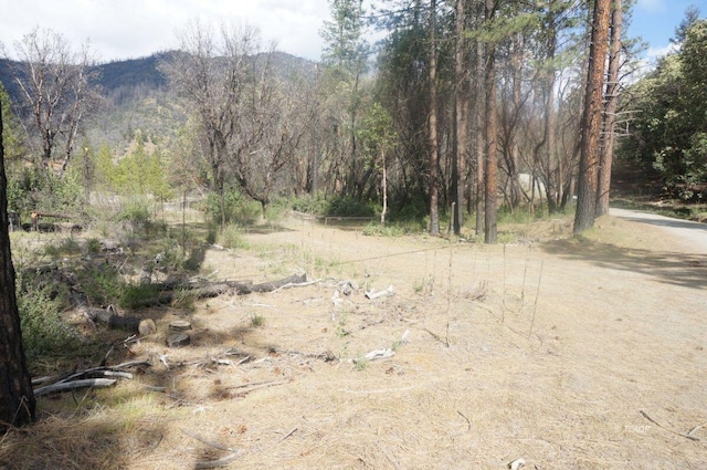 1600 Lake Rd, Junction City, CA 96048